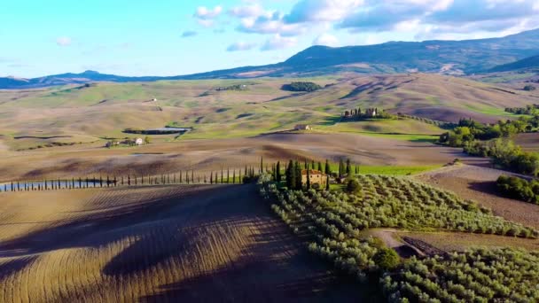 Italské Pole Celém Obzoru Zemědělskými Poli Loukami Letecký Pohled Krásnou — Stock video