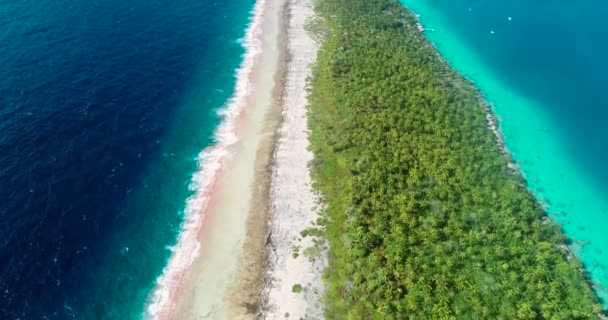Ilha Dourada Caribe Com Lagoa Azul Ilha Paraíso Perfeito Para — Vídeo de Stock