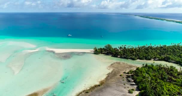 Polynésie Française Atoll Tahiti Fakarava Célèbre Lagune Bleue Récif Corallien — Video