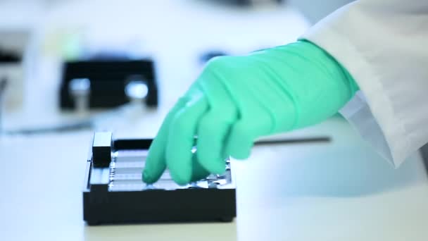 Scientist Testing Searching Samples Tubes Laboratory Can See Only Hands — Stock Video