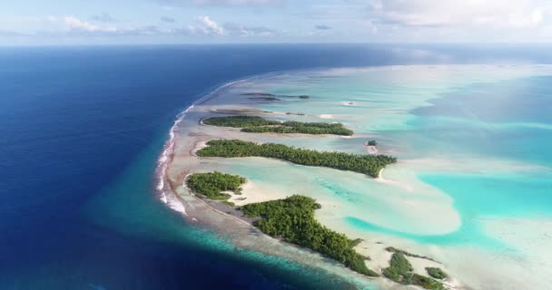 Polinésia Francesa Taiti Fakarava Praia Oceano Pacífico — Vídeo de Stock