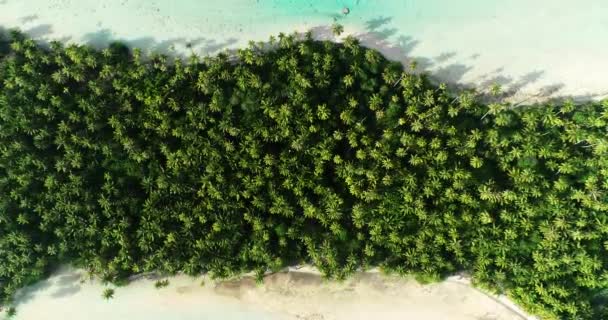Polinésia Francesa Tahiti Atol Fakarava Famosa Lagoa Azul Oceano Pacífico — Vídeo de Stock