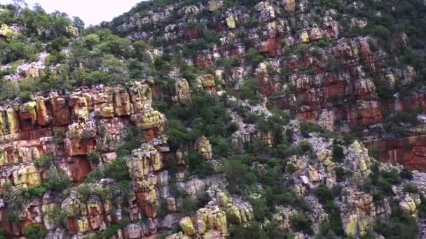 Blyde River Canyon Cliff Trees Red Sandstone South Africa Beautiful — Stock Video