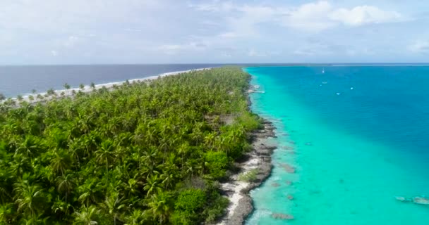 フランス領ポリネシア タヒチファカラバア環礁とヤシ サンゴ礁と太平洋 — ストック動画