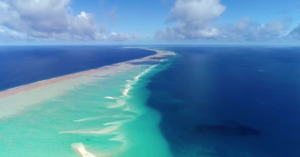 Francouzská Polynésie Tahiti Fakarava Atoll Slavná Modrá Laguna Korálový Útes — Stock video