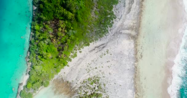 Mavi Gölü Olan Karayipler Deki Altın Ada Cennet Adası Tatil — Stok video