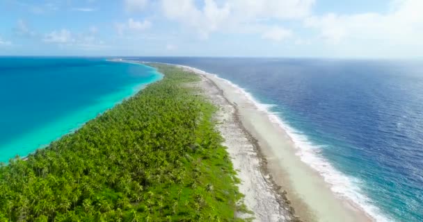 Χρυσό Νησί Στην Καραϊβική Μπλε Λιμνοθάλασσα Paradise Νησί Ιδανικό Για — Αρχείο Βίντεο