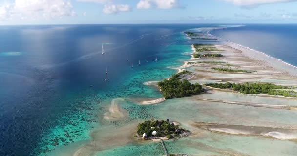 Küçük Adalar Motu Göl Manzaralı Fransız Polinezyası — Stok video