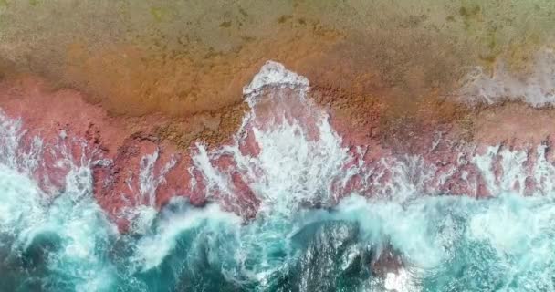 フランス領ポリネシアの熱帯ビーチに墜落する波の上の空中ドローンの眺め 青い波の半分と太平洋のビーチとサンゴ礁の半分 波は強い 熱帯の概念を旅行する — ストック動画
