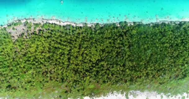 Polynésie Française Atoll Tahiti Fakarava Célèbre Lagune Bleue Récif Corallien — Video