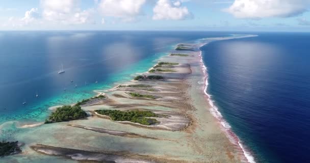 Polinesia Francese Tahiti Atollo Palme Fakarava Barriera Corallina Oceano Pacifico — Video Stock