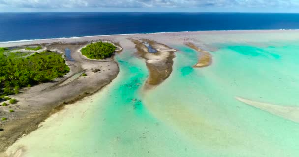 Polinésia Francesa Taiti Atol Palmeiras Fakarava Recifes Coral Oceano Pacífico — Vídeo de Stock