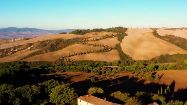 Italian Field All Horizon Agricultural Fields Meadows Aerial View Beautiful — Stock Video