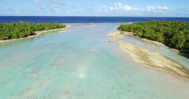 Polinesia Francesa Tahití Fakarava Atolón Palmeras Arrecife Coral Océano Pacífico — Vídeo de stock