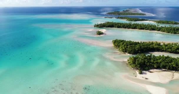 프랑스령 폴리네시아 파카라 환초와 야자나무 산호초와 태평양 — 비디오