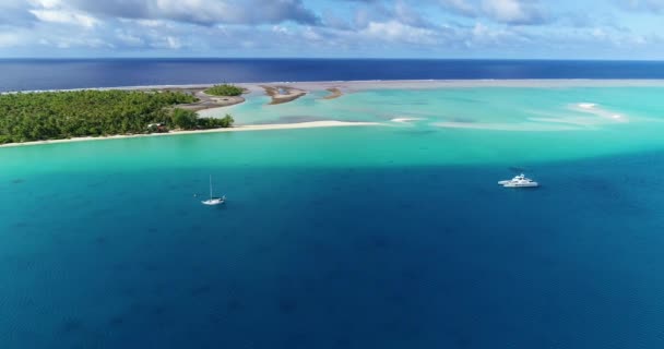 프랑스령 폴리네시아 파카라 환초와 야자나무 산호초와 태평양 — 비디오