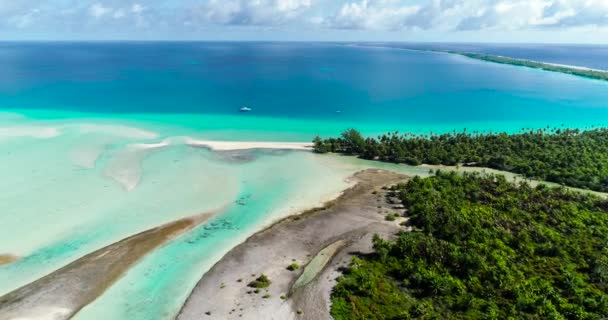 Franska Polynesien Tahiti Fakarava Atoll Och Palmer Korallrev Och Stilla — Stockvideo