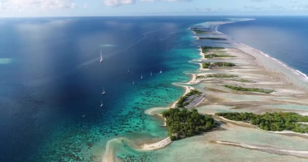 Polinesia Francese Tahiti Atollo Palme Fakarava Barriera Corallina Oceano Pacifico — Video Stock