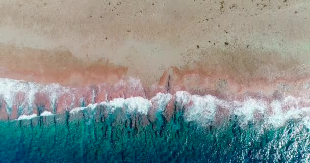 Onde Che Infrangono Una Spiaggia Tropicale Della Polinesia Francese Metà — Video Stock