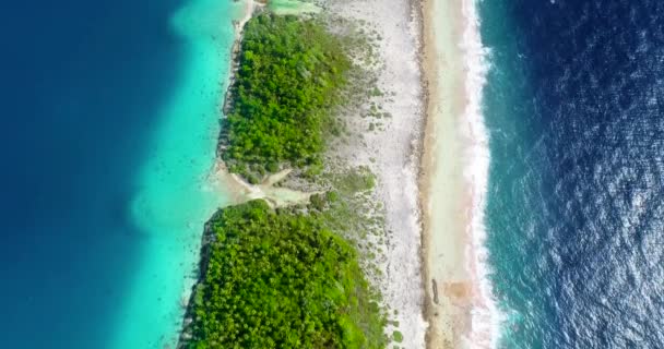 Karayipler Mavi Gölü Olan Bir Ada Cennet Adası Tatil Turizm — Stok video