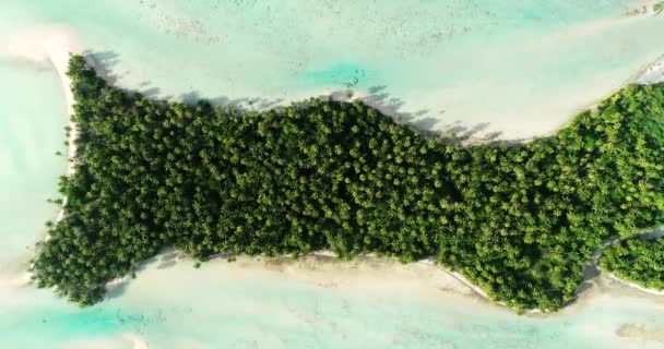 Polinesia Francesa Atolón Tahití Fakarava Famosa Laguna Azul Océano Pacífico — Vídeo de stock