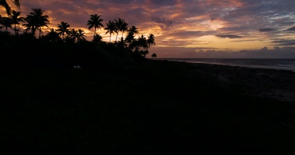 Пальми Заході Сонця Полінезії Таїті Факарава Тихий Океан — стокове відео