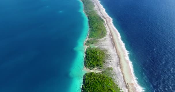 Pasifik Okyanusu Cennet Adası Ndaki Mavi Göl Mercan Adası Palmiye — Stok video