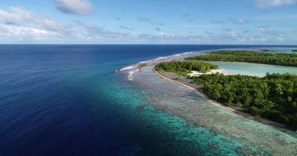 French Polynesia Tahiti Fakarava Atoll Coral Reef Pacific Ocean — 비디오