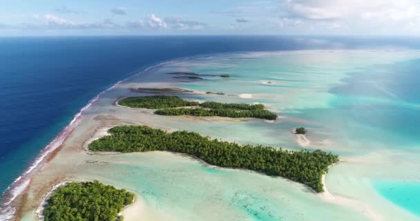 French Polynesia Tahiti Fakarava Atoll Coral Reef Pacific Ocean — Stock Video