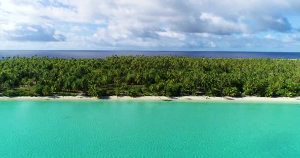 Polinesia Francese Atollo Tahiti Fakarava Barriera Corallina Oceano Pacifico — Video Stock