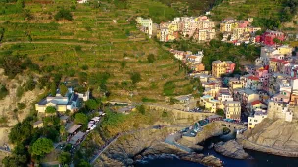 Vista Aérea Vila Manarola Costa Cinque Terre Itália Magnífica Vista — Vídeo de Stock