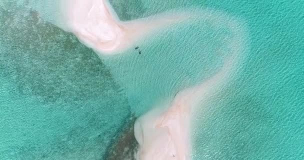 Francouzská Polynésie Tahiti Fakarava Atoll Korálový Útes Tichý Oceán — Stock video