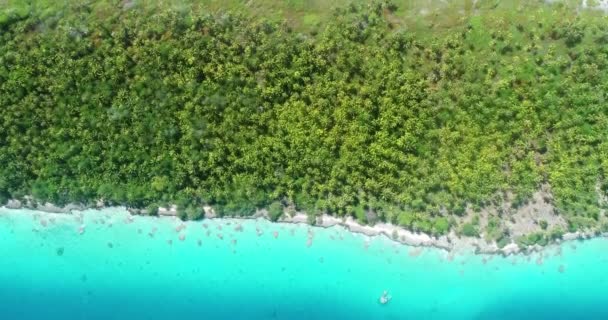 Ilha Dourada Caribe Com Lagoa Azul Ilha Paraíso Perfeito Para — Vídeo de Stock