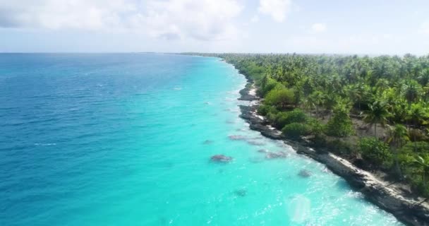 Polinesia Francese Atollo Tahiti Fakarava Famosa Laguna Blu Barriera Corallina — Video Stock