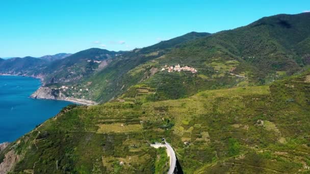 空中俯瞰一个绿色山谷中葡萄园的景色 以高山为背景的绿色藤蔓美丽的自然景观 — 图库视频影像