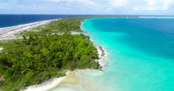 Χρυσό Νησί Στην Καραϊβική Μπλε Λιμνοθάλασσα Paradise Νησί Ιδανικό Για — Αρχείο Βίντεο