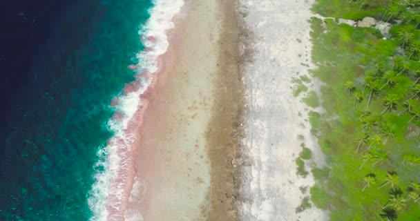 在法属波利尼西亚的热带海滩上 飞机上的海景被海浪冲刷得粉碎 一半带着蓝色波浪 一半带着太平洋的海滩和棕榈树林 海浪很大 热带旅游概念 — 图库视频影像