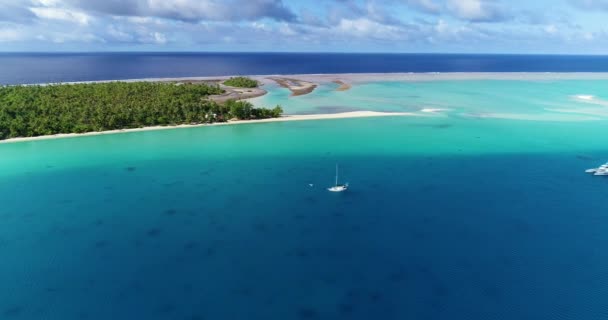Polynésie Française Atoll Tahiti Fakarava Célèbre Lagune Bleue Récif Corallien — Video