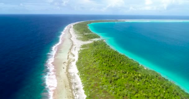 French Polynesia Tahiti Fakarava Atoll Famous Blue Lagoon Coral Reef — Stock Video