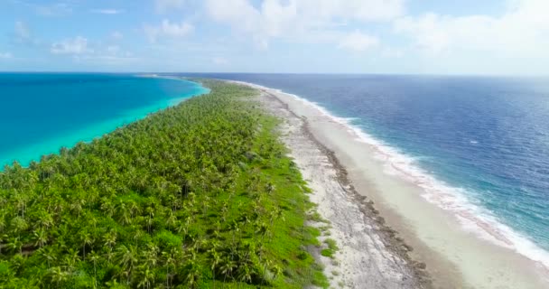 French Polynesia Tahiti Fakarava Atoll Famous Blue Lagoon Coral Reef — Stock Video