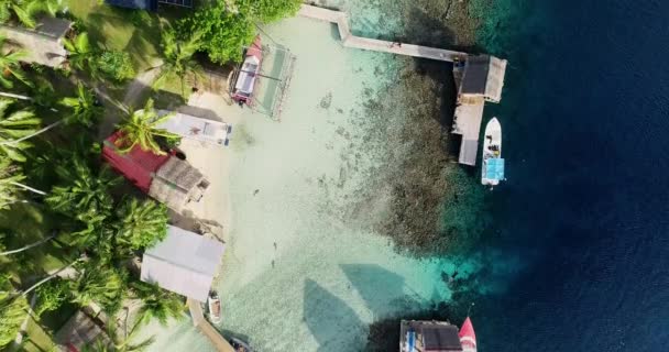 Polynésie Française Atoll Tahiti Fakarava Célèbre Lagune Bleue Récif Corallien — Video