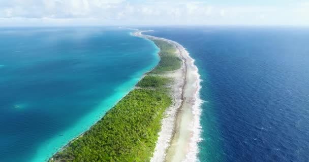 Γαλλική Πολυνησία Ταϊτή Fakarava Ατόλη Και Διάσημη Blue Lagoon Κοραλλιογενή — Αρχείο Βίντεο