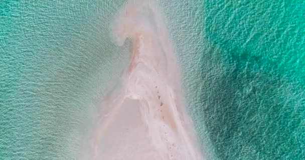 Fransız Polinezya Tahiti Fakarava Mercan Adası Ünlü Mavi Göl Mercan — Stok video