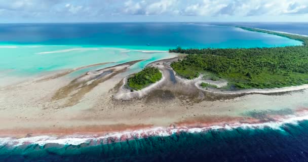 Polinésia Francesa Taiti Fakarava Praia Oceano Pacífico — Vídeo de Stock