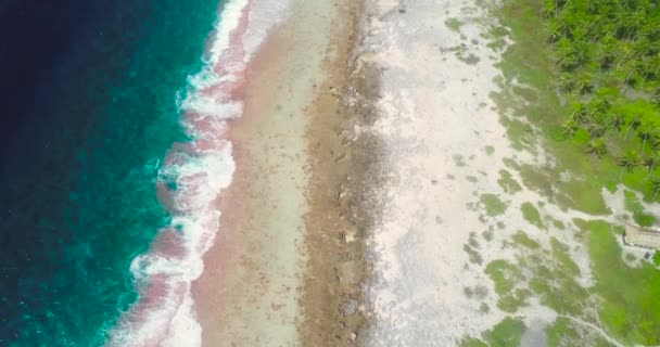 在法属波利尼西亚的热带海滩上 飞机上的海景被海浪冲刷得粉碎 一半带着蓝色波浪 一半带着太平洋的海滩和棕榈树林 海浪很大 热带旅游概念 — 图库视频影像