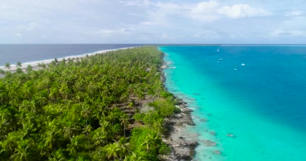 Isola Oro Nei Caraibi Con Laguna Blu Isola Paradisiaca Perfetta — Video Stock