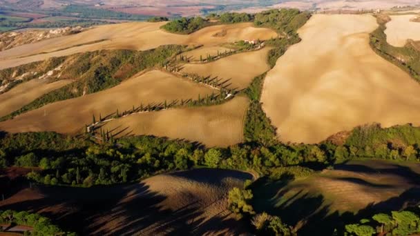 Vackra Landskap Toscana Italien Flygfoto Över Underbar Domän Med Villa — Stockvideo