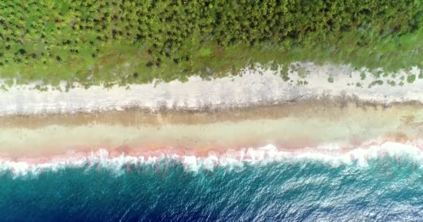 Vista Aérea Com Drone Ondas Colidindo Uma Praia Tropical Polinésia — Vídeo de Stock