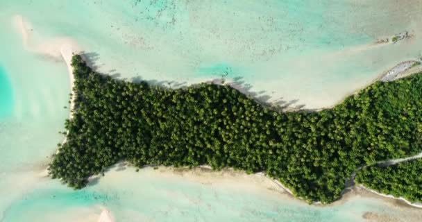 Ilha Com Floresta Palmeiras Praia Dourada Com Água Turquesa Paraíso — Vídeo de Stock