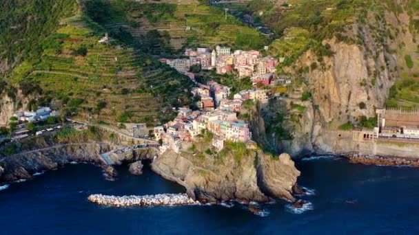 Flygfoto Över Byn Manarola Cinque Terre Kusten Italien Magnifik Sett — Stockvideo